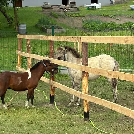 Kociewska Ferienhaus *