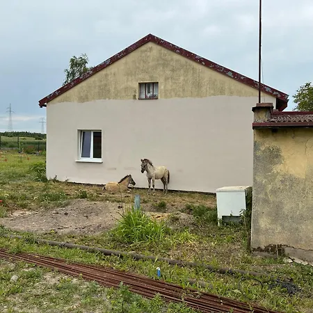 Ferienhaus Kociewska *